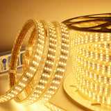 LED Strip Light 220V 50m per roll-Shiny Land